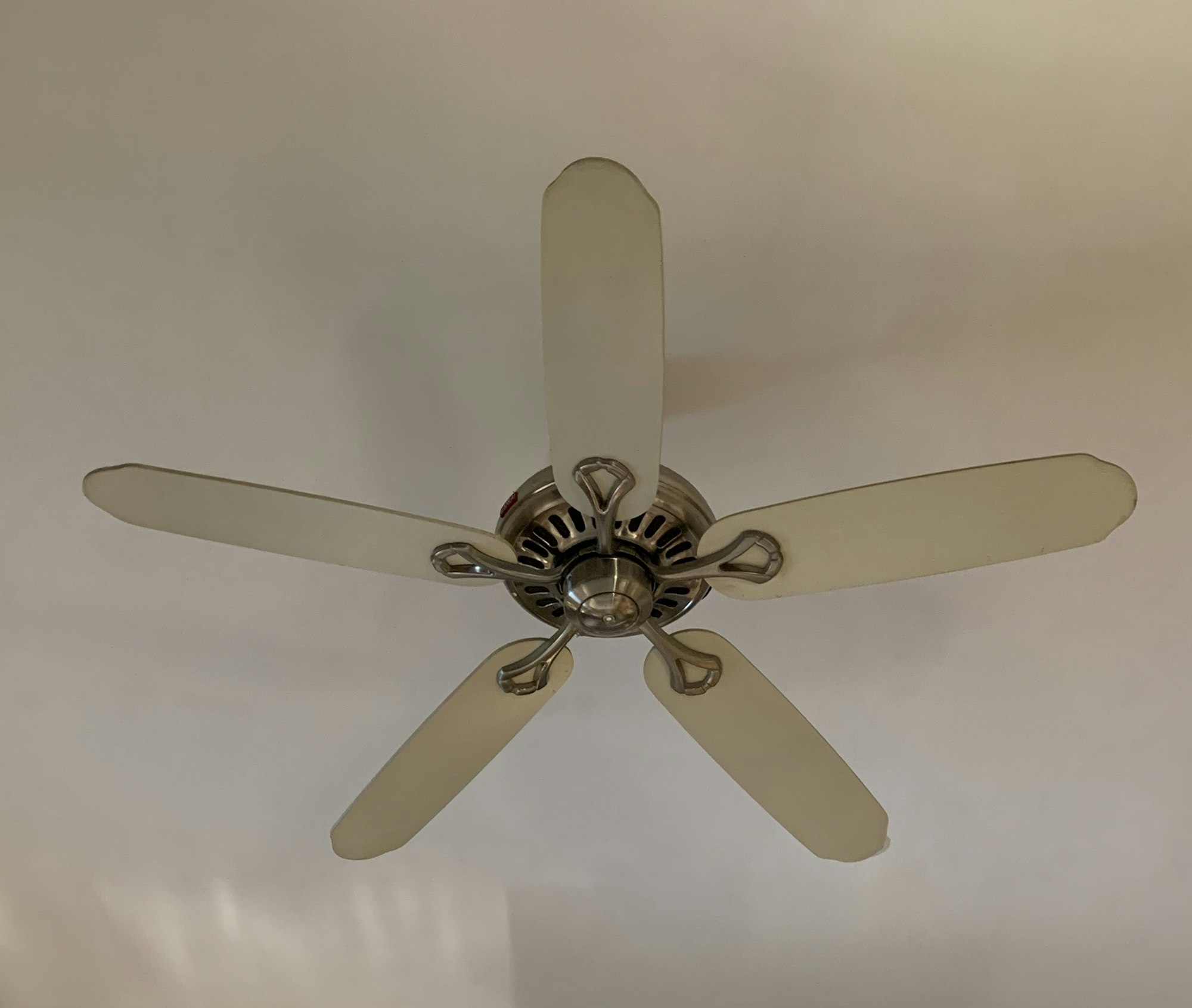 Lighting & Ceiling Fans